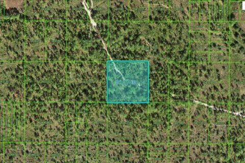 Terreno en Frostproof, Florida № 2095926