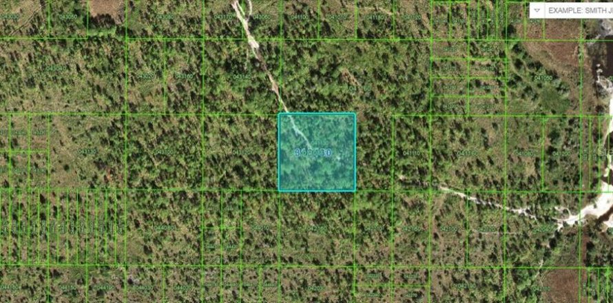 Terreno en Frostproof, Florida № 2095926