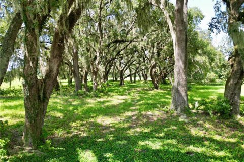 Terrain à vendre à Webster, Floride № 2316513 - photo 4