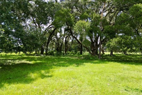 Terrain à vendre à Webster, Floride № 2316513 - photo 22