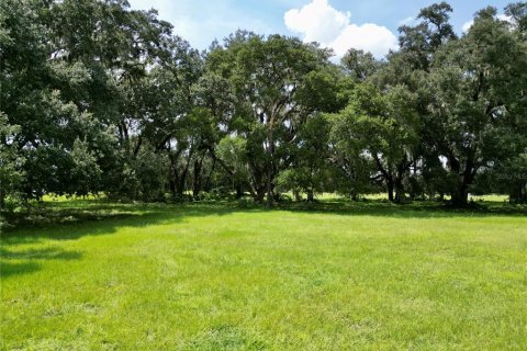 Terrain à vendre à Webster, Floride № 2316513 - photo 21