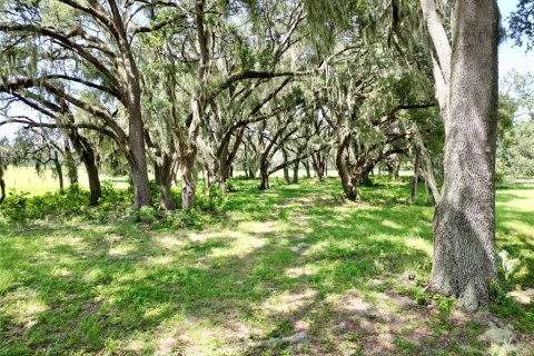 Terrain à vendre à Webster, Floride № 2316513 - photo 5