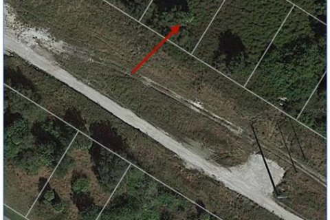 Terrain à vendre à Punta Gorda, Floride № 2214122 - photo 4