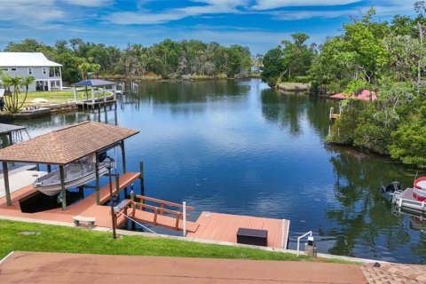 House in Crystal River, Florida 3 bedrooms, 330.64 sq.m. № 1800003 - photo 6