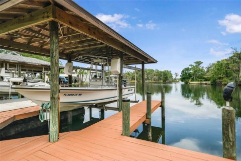 House in Crystal River, Florida 3 bedrooms, 330.64 sq.m. № 1800003 - photo 11