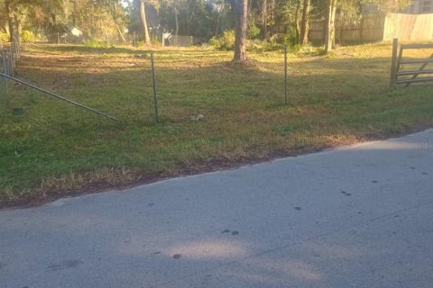 Land in Paisley, Florida № 2160886