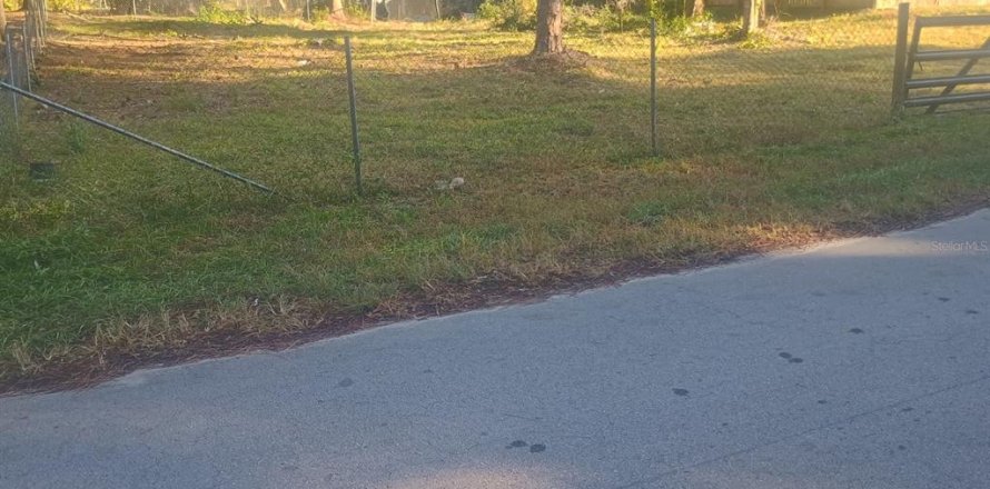 Land in Paisley, Florida № 2160886