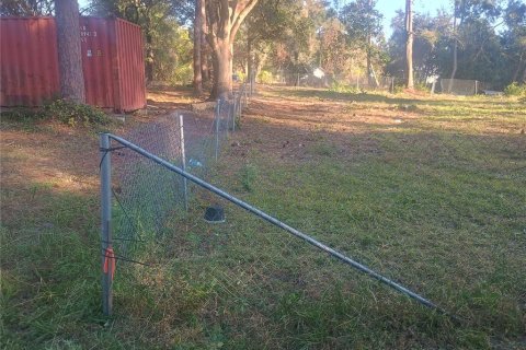 Land in Paisley, Florida № 2160886 - photo 4