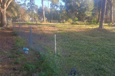 Land in Paisley, Florida № 2160886 - photo 2