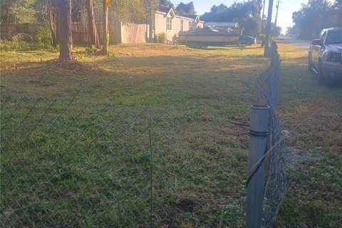 Land in Paisley, Florida № 2160886 - photo 3