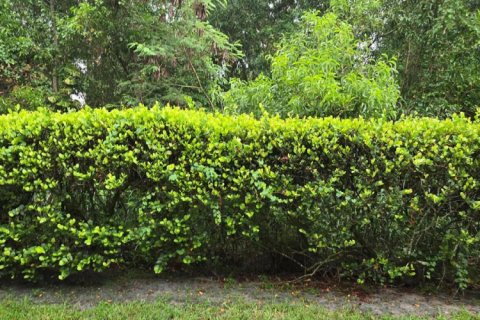 Townhouse in West Palm Beach, Florida 2 bedrooms, 112.5 sq.m. № 2278811 - photo 11