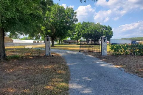 Villa ou maison à vendre à Apopka, Floride: 3 chambres, 211.82 m2 № 1190690 - photo 12