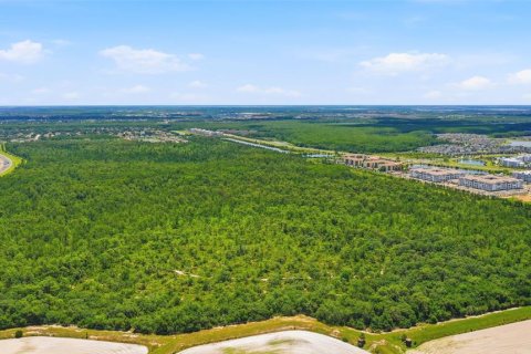 Land in Orlando, Florida № 2109296 - photo 9