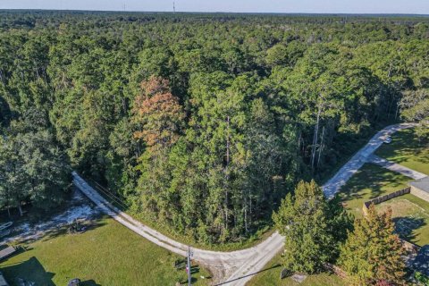 Land in Green Cove Springs, Florida № 768658 - photo 1