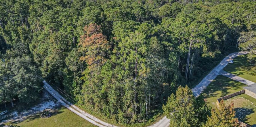 Land in Green Cove Springs, Florida № 768658
