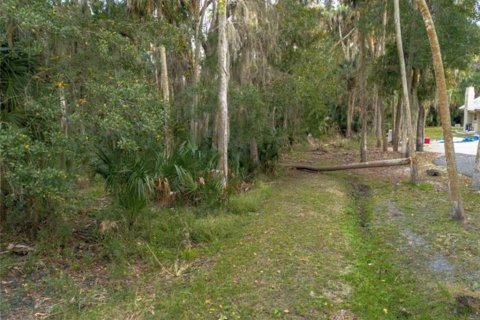 Land in Deltona, Florida № 2229042
