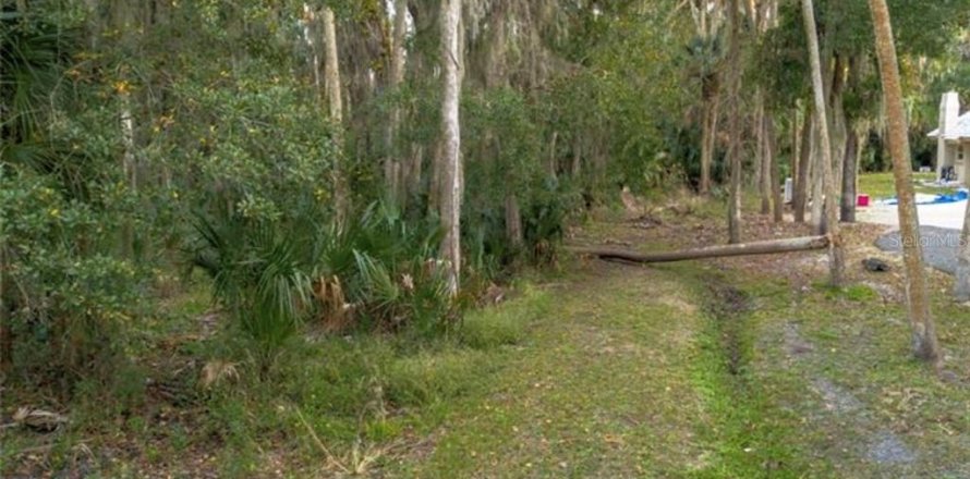 Terreno en Deltona, Florida № 2229042