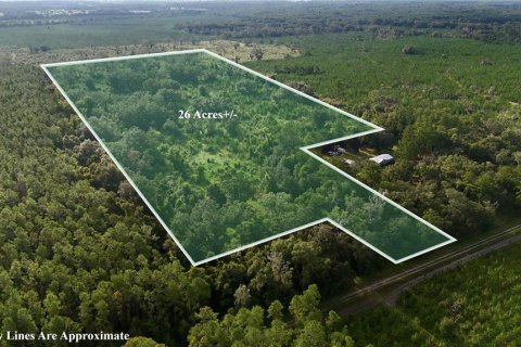 Land in Williston, Florida № 1894932 - photo 2