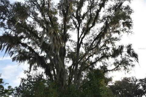 Land in Williston, Florida № 1894932 - photo 27