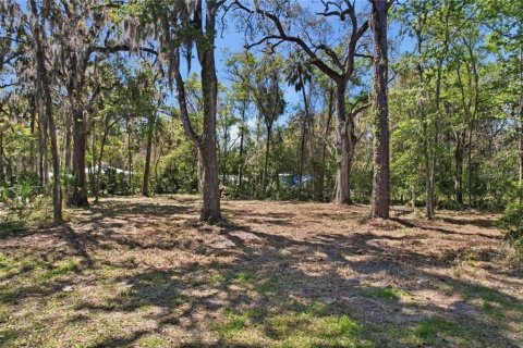Land in Crystal River, Florida № 2277971
