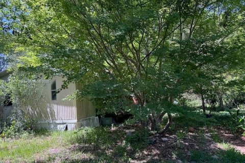 House in Gainesville, Florida 1 bedroom, 41.62 sq.m. № 1660134 - photo 4