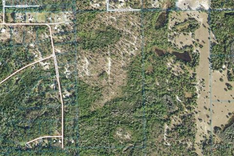 Купить земельный участок в Кристал-Ривер, Флорида № 213744 - фото 2