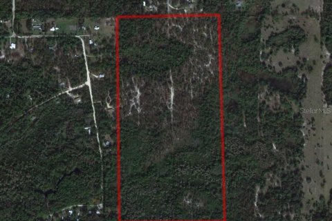 Купить земельный участок в Кристал-Ривер, Флорида № 213744 - фото 1