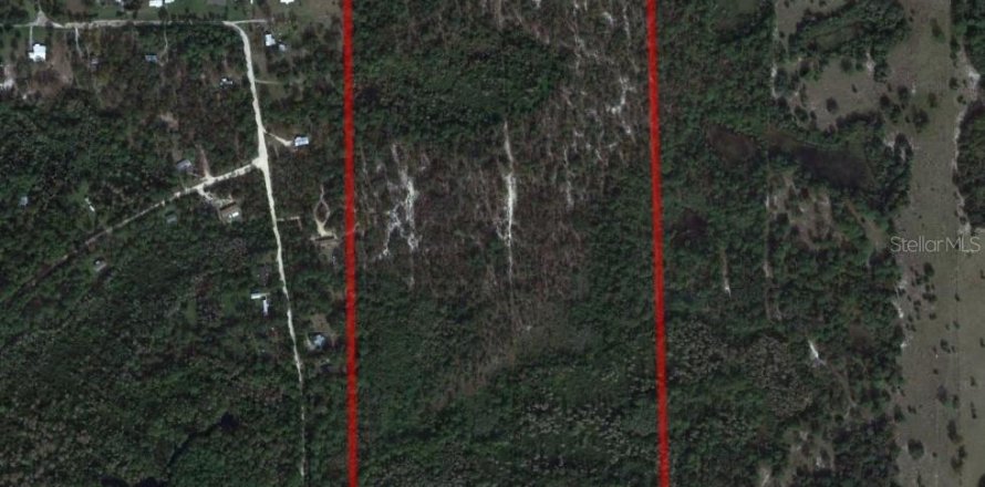 Land in Crystal River, Florida № 213744