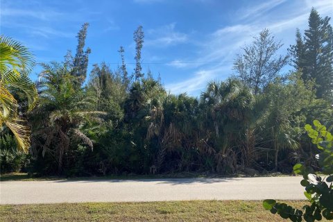 Terreno en Punta Gorda, Florida № 2103984