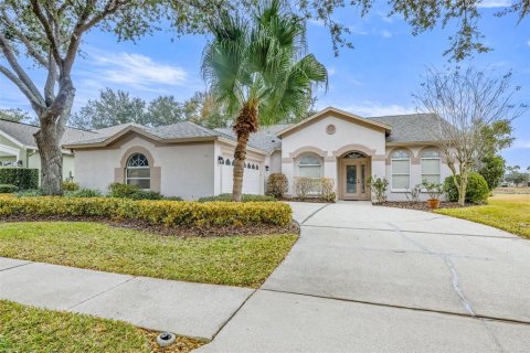 House in Tampa, Florida 3 bedrooms, 212.19 sq.m. № 2117484