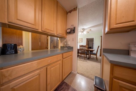 Villa ou maison à vendre à Orlando, Floride: 4 chambres, 132.2 m2 № 2419547 - photo 14