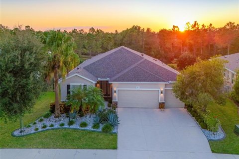 Villa ou maison à vendre à Parrish, Floride: 3 chambres, 245.45 m2 № 2395632 - photo 4