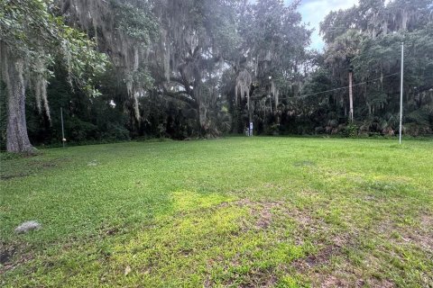 Land in Geneva, Florida № 1844492 - photo 2
