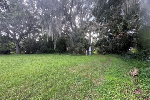 Land in Geneva, Florida № 1844492 - photo 3