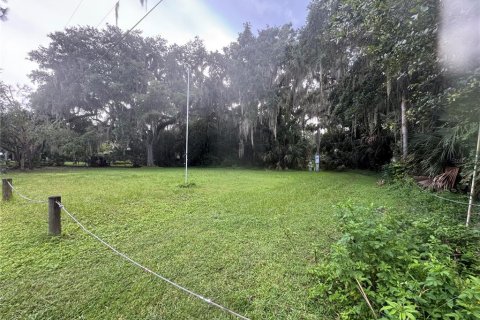 Land in Geneva, Florida № 1844492 - photo 1