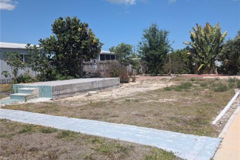 Land in Englewood, Florida № 2166141 - photo 2