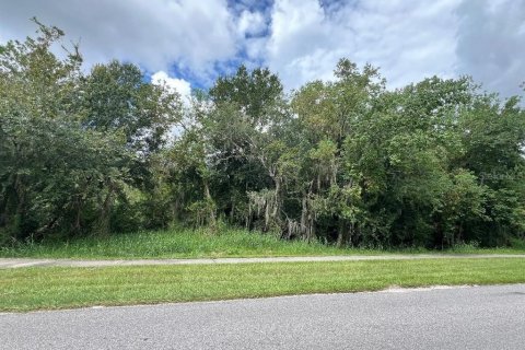 Terreno en venta en Plant City, Florida № 1632503 - foto 1