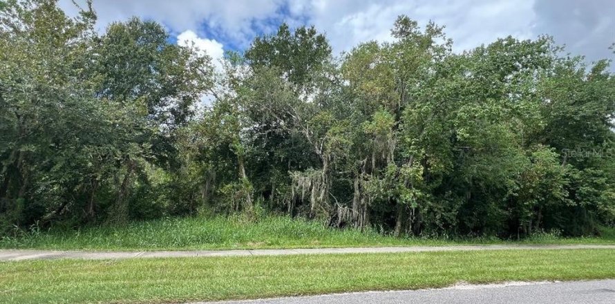Terreno en Plant City, Florida № 1632503
