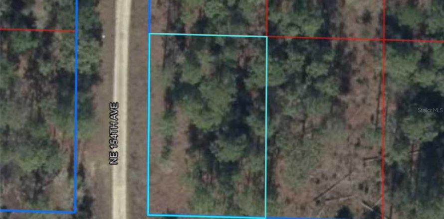 Terrain à Williston, Floride № 2165055