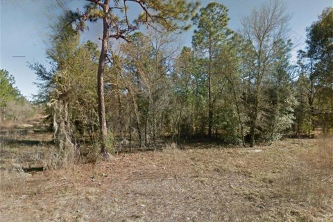 Terrain à vendre à Williston, Floride № 2165055 - photo 5