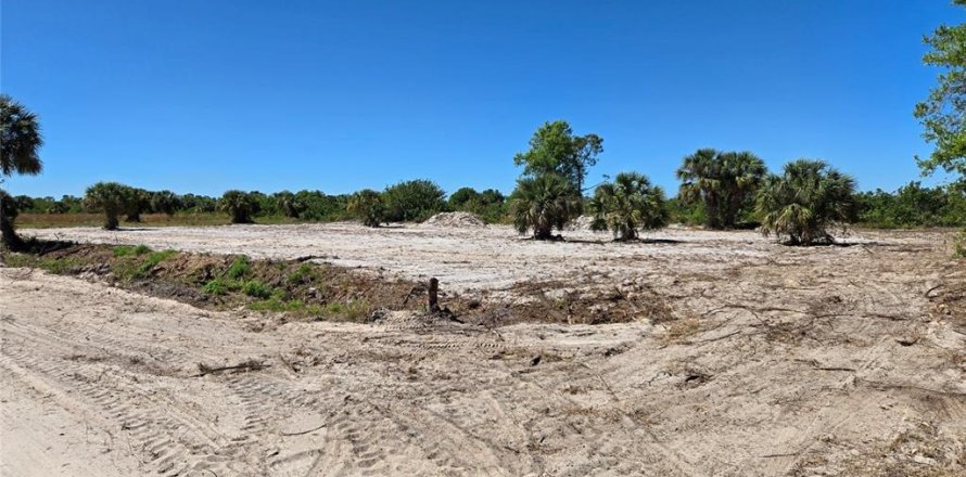 Land in Punta Gorda, Florida № 1602078