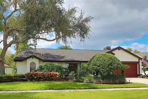 Villa ou maison à vendre à Tampa, Floride: 4 chambres, 247.21 m2 № 1898580 - photo 1