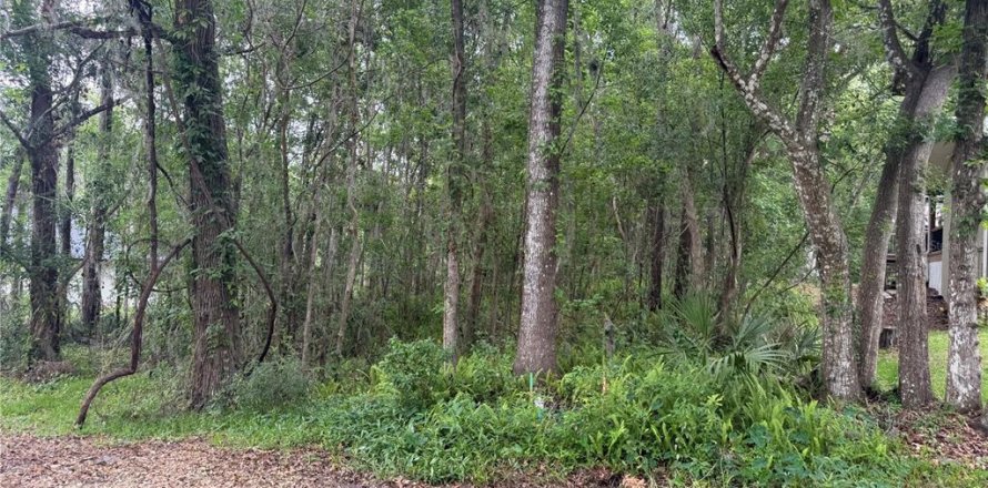 Land in Brooksville, Florida № 1724918