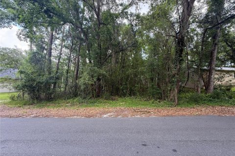 Land in Brooksville, Florida № 1724918 - photo 4