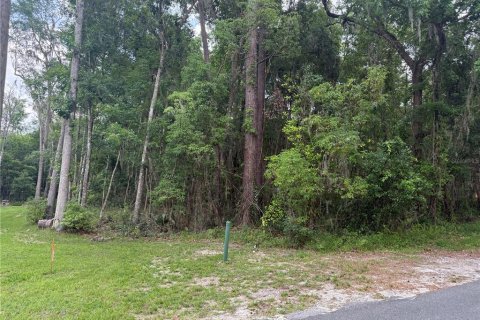 Land in Brooksville, Florida № 1724918 - photo 5