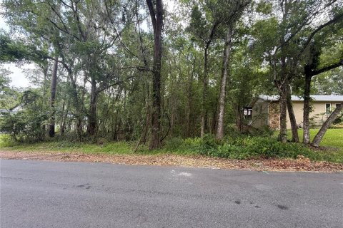 Land in Brooksville, Florida № 1724918 - photo 2