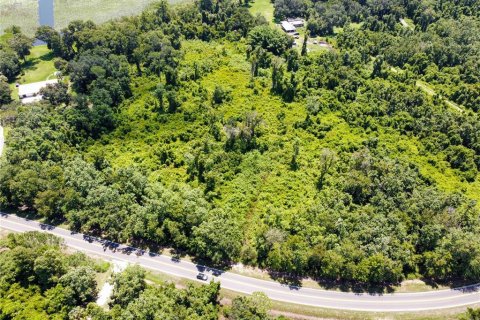 Terreno en venta en Lake Wales, Florida № 1853692 - foto 10