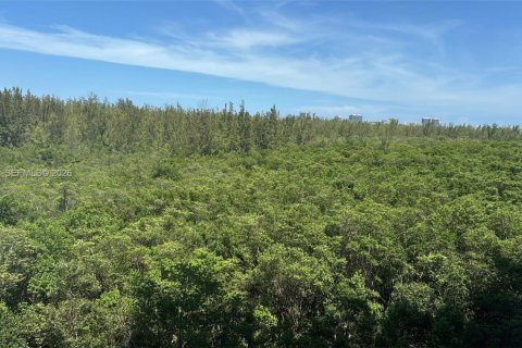 Copropriété à louer à North Miami, Floride: 3 chambres, 175.21 m2 № 2312098 - photo 15