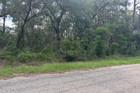 Land in Dunnellon, Florida № 2161664