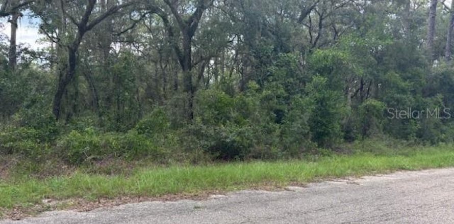 Land in Dunnellon, Florida № 2161664